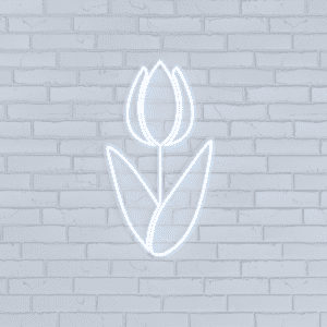 Tulip - Mini Neon™