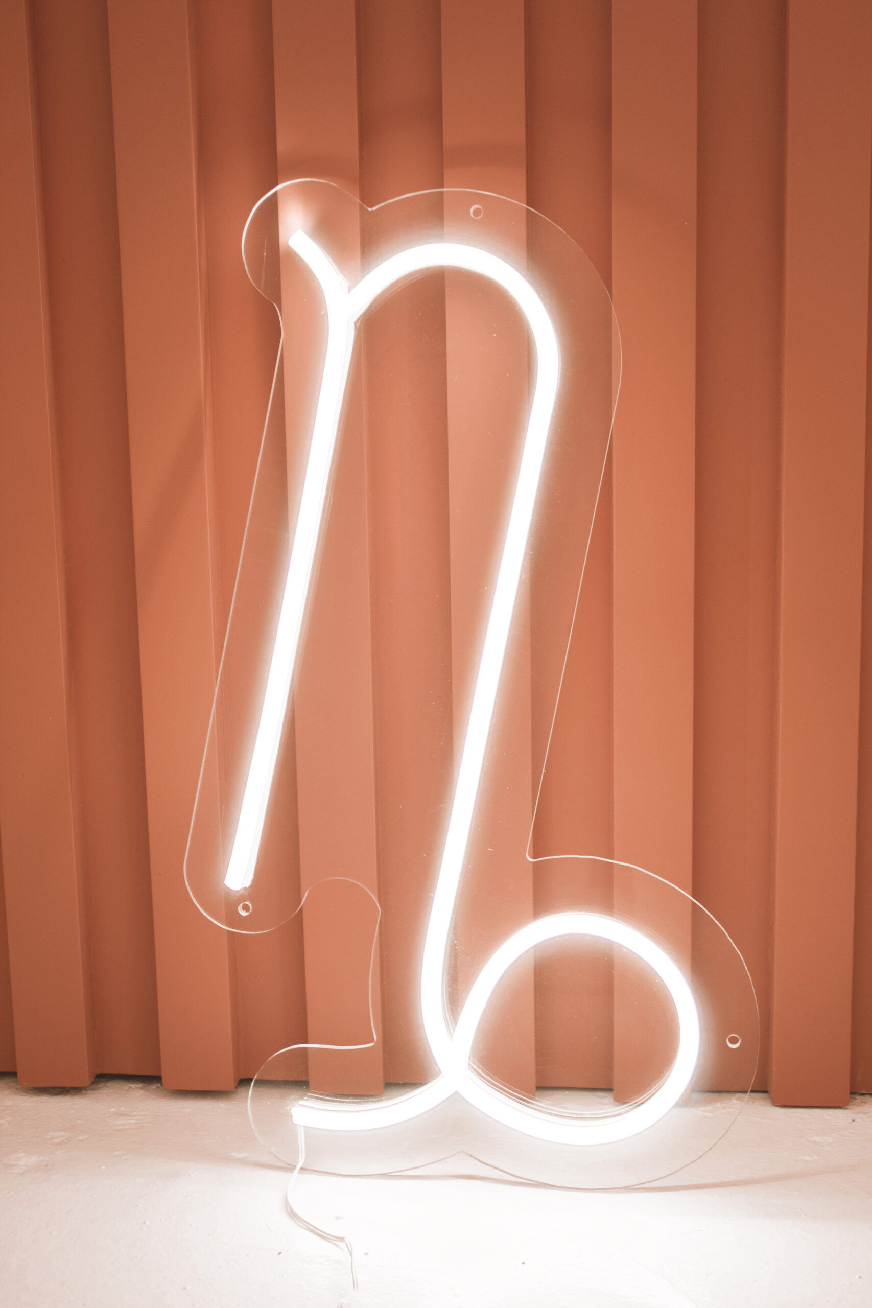 Capricorn – Mini Neon™